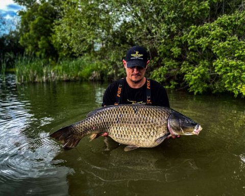 FB_IMG_1758660546814